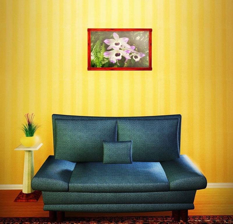 Yellow Feature Wall