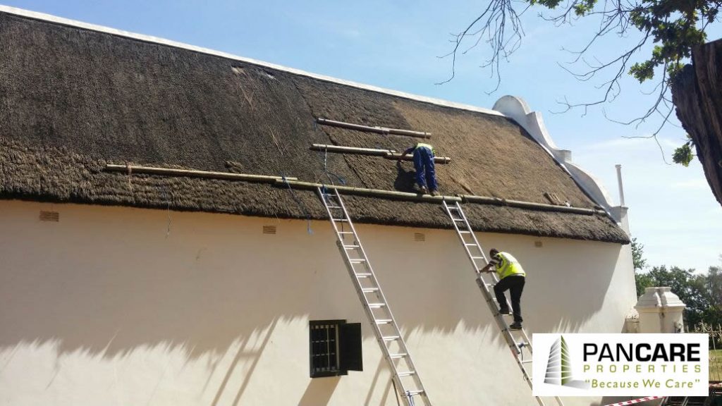 Thatch Roofing Project, Stellenbosch