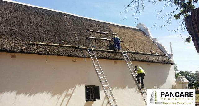 Thatch Roofing Project, Stellenbosch