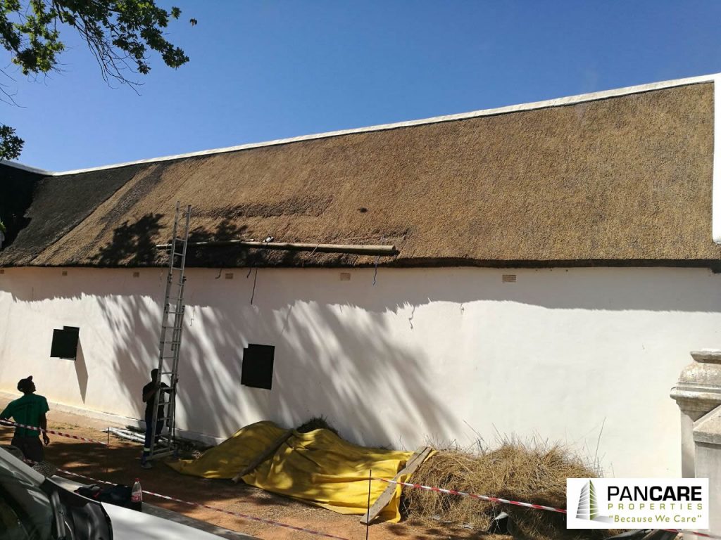 Thatch Roofing Project, Stellenbosch